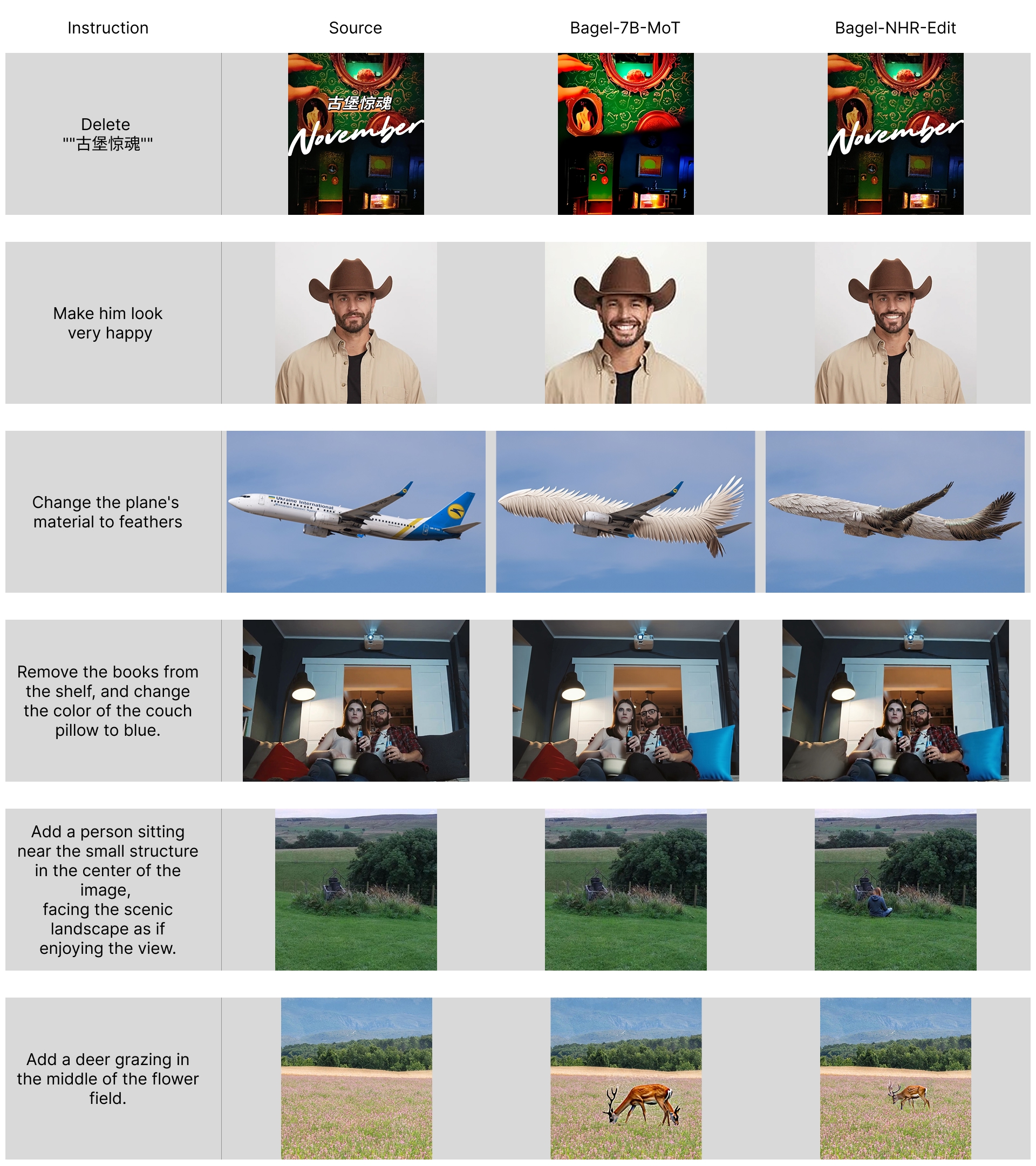 NHR Pipeline